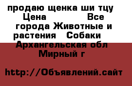 продаю щенка ши-тцу › Цена ­ 10 000 - Все города Животные и растения » Собаки   . Архангельская обл.,Мирный г.